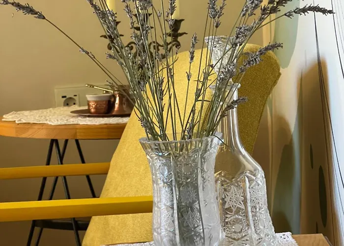 Lejlighed Maus Haus *